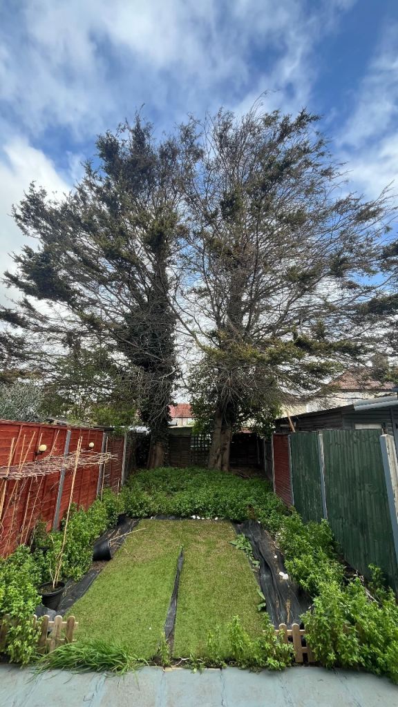 Tree Cutting & Gardening Services – Professional & Reliable