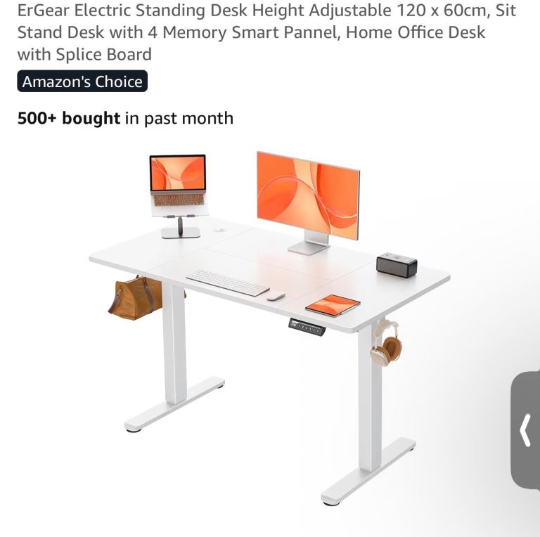 ErGear Electric Standing Desk Height Adjustable 120 x 60cm, Sit Stand Desk