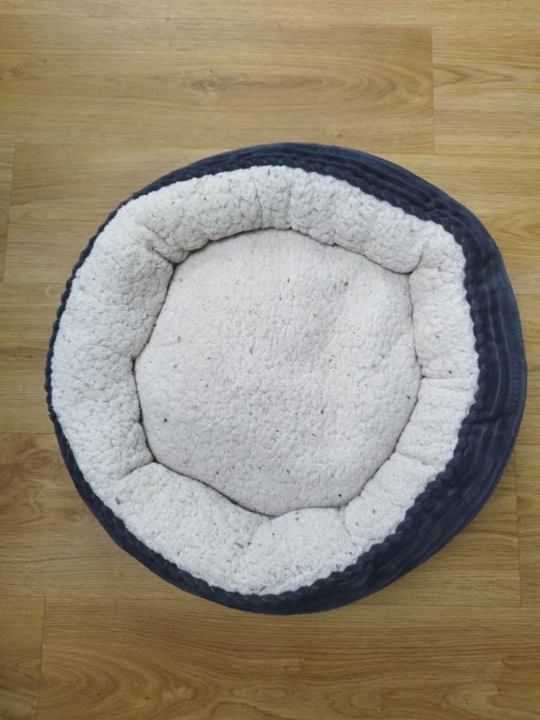 Used cat/small dog bed - free