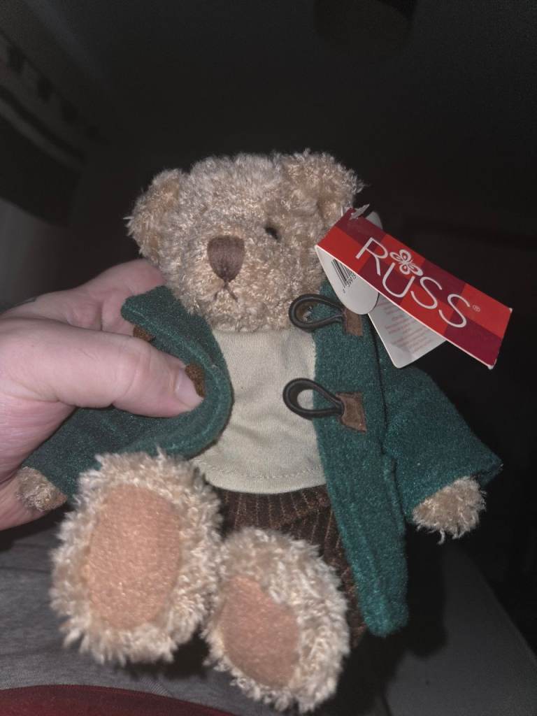 Teddy bear 