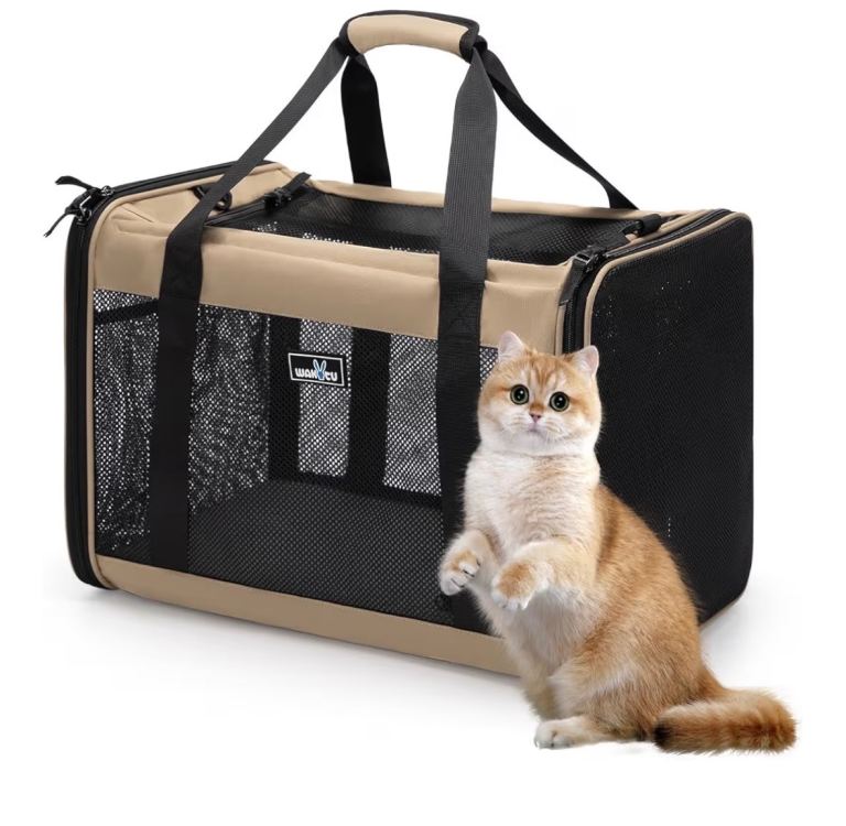 Pet carrier 