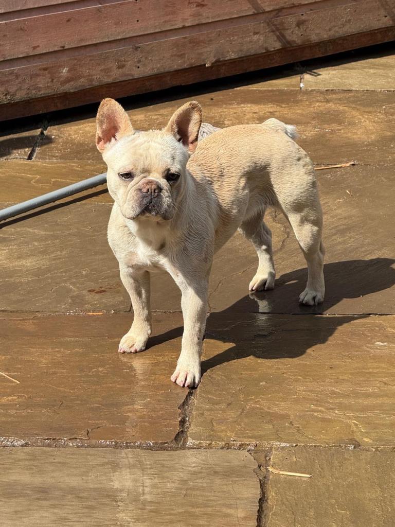 Female for sale