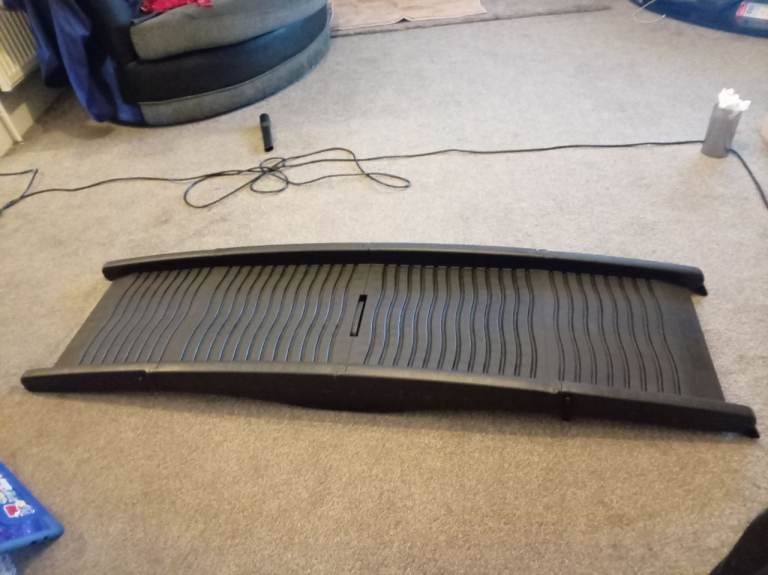 Dog ramp 