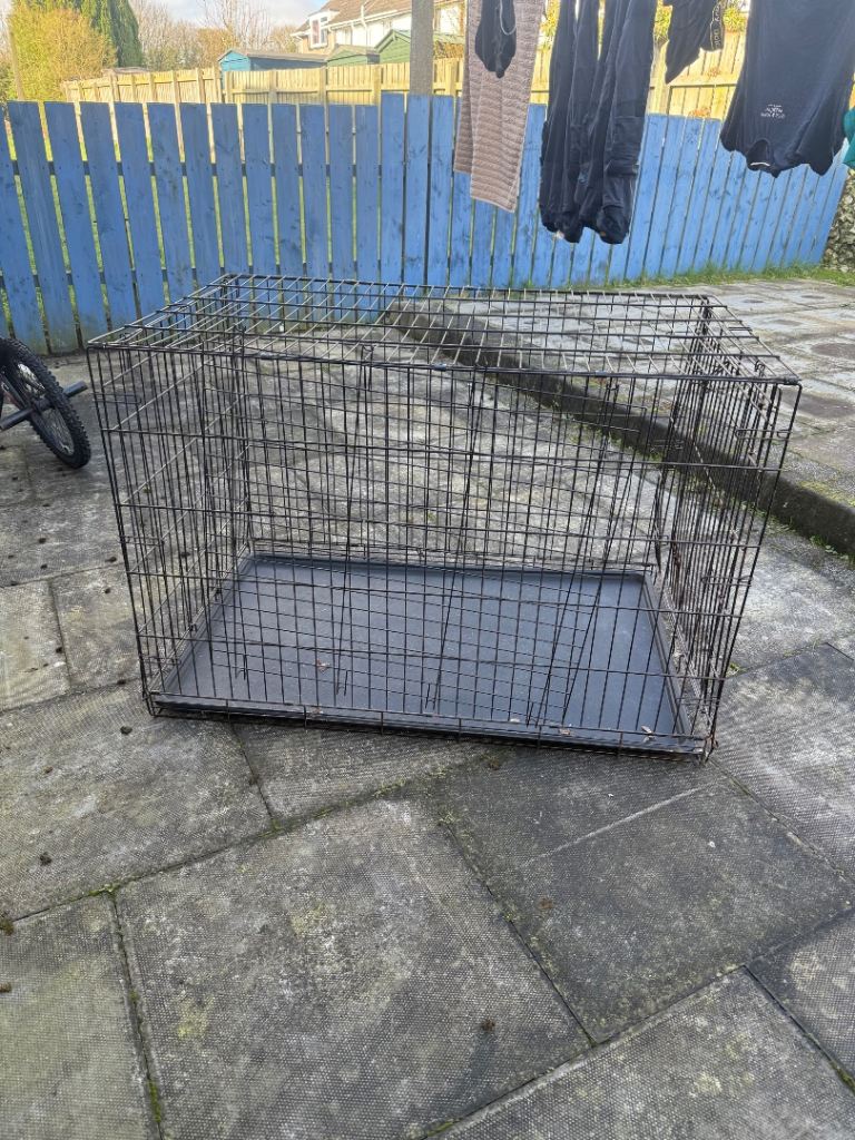 Large dog cage  Needs gone asap
