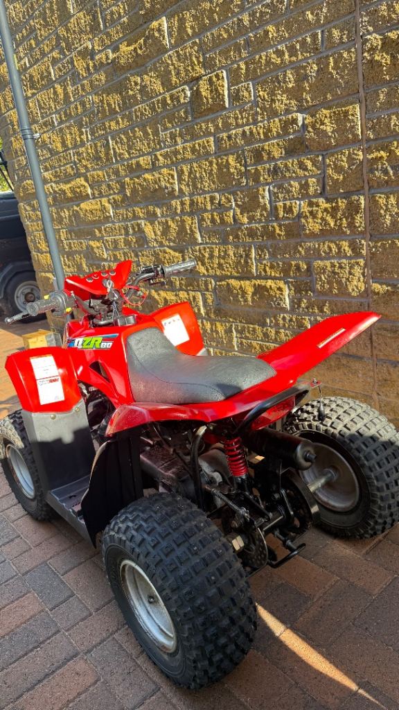 Quadzilla 80cc 2stroke