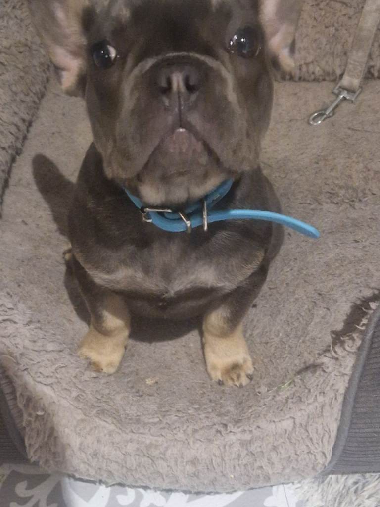 4 months old