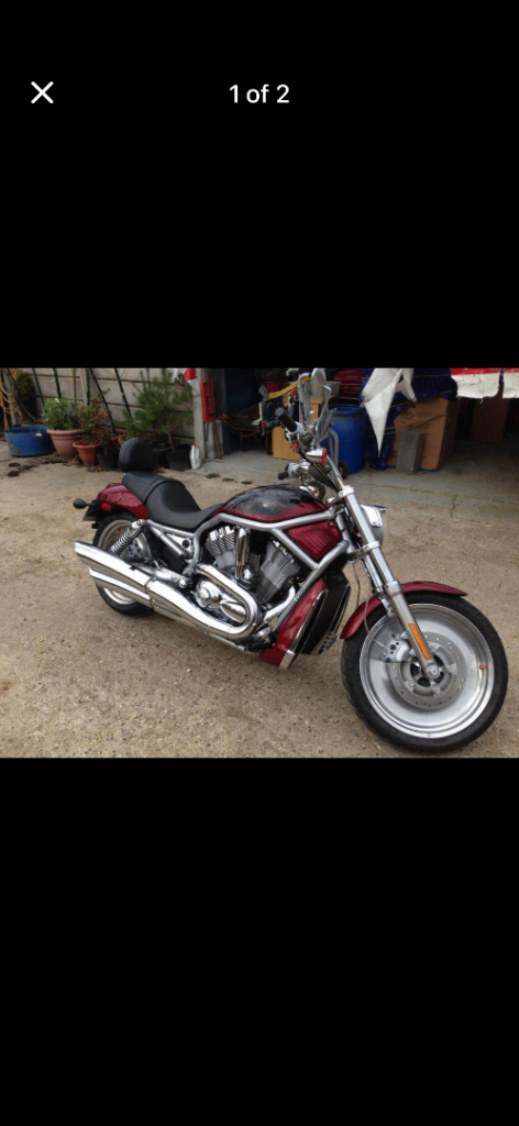 Harley v rod