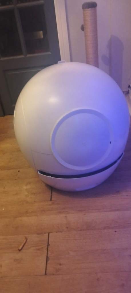 Automatic Self‑Cleaning Cat Litter Box and a cat scratching tree