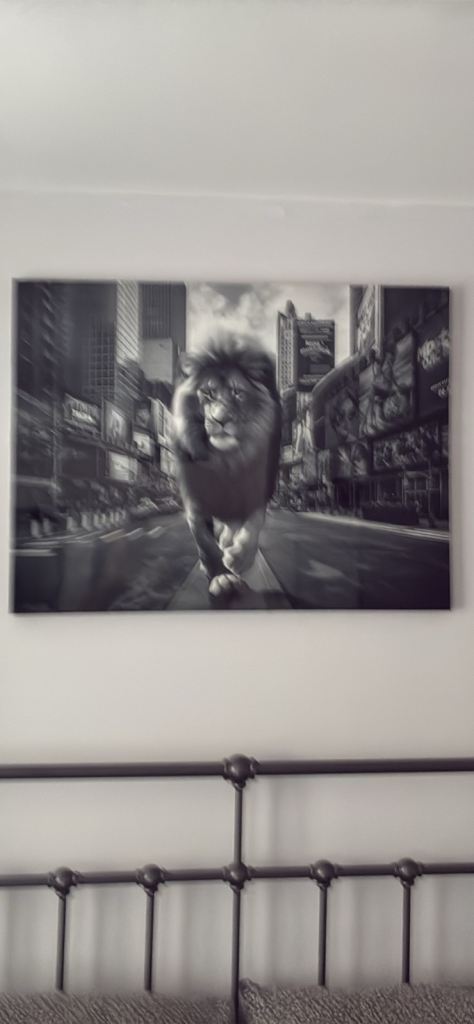 Large Canvas Wall Art: Lion in City – Black & White