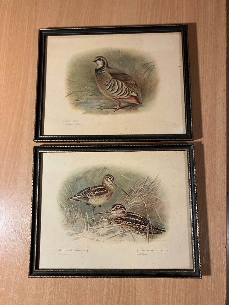Pair of Black Gold Framed Archibald Thorburn Antique Prints