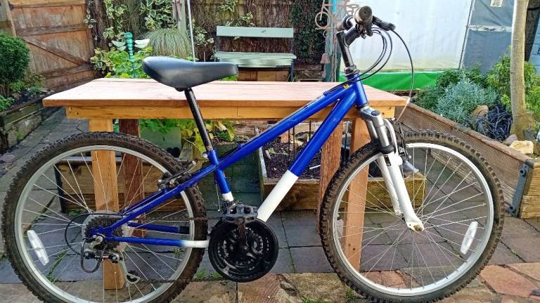 Young adult/adult cycle