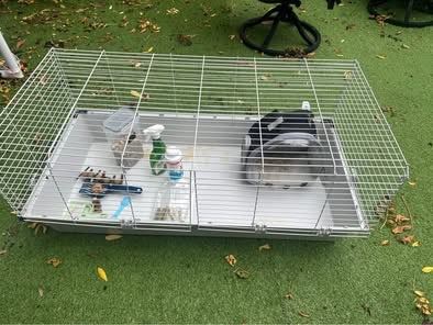 Pets At Home Temporary Guinea Pig & Rabbit Home with all accessories and food/hay/bedding/carrier