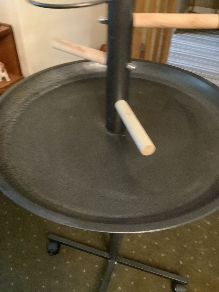 Parrot Stand