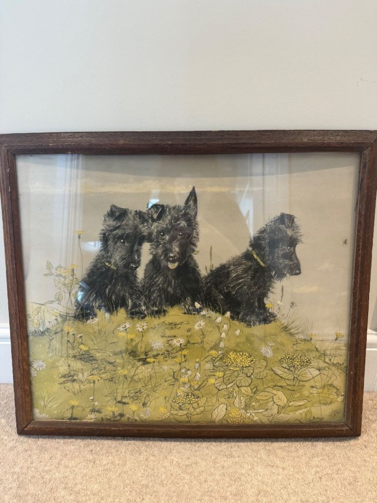 Lucy Dawson Three Scotties framed print 