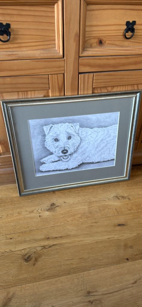 West Highland Terrier. Framed Dog Portrait Drawing – Good Condition
