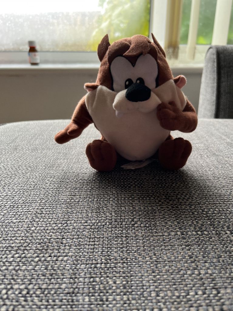 Tazmanian devil baby