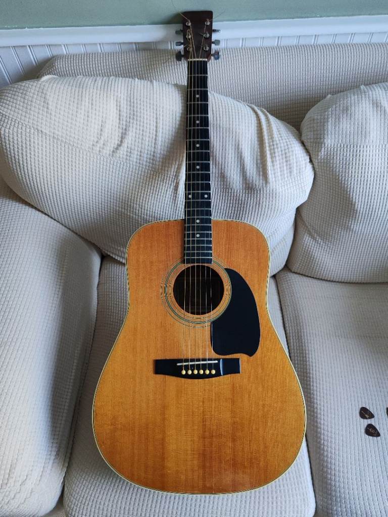 HOHNER Arbor Acoustic Guitar with Capo and Picks – Good Condition