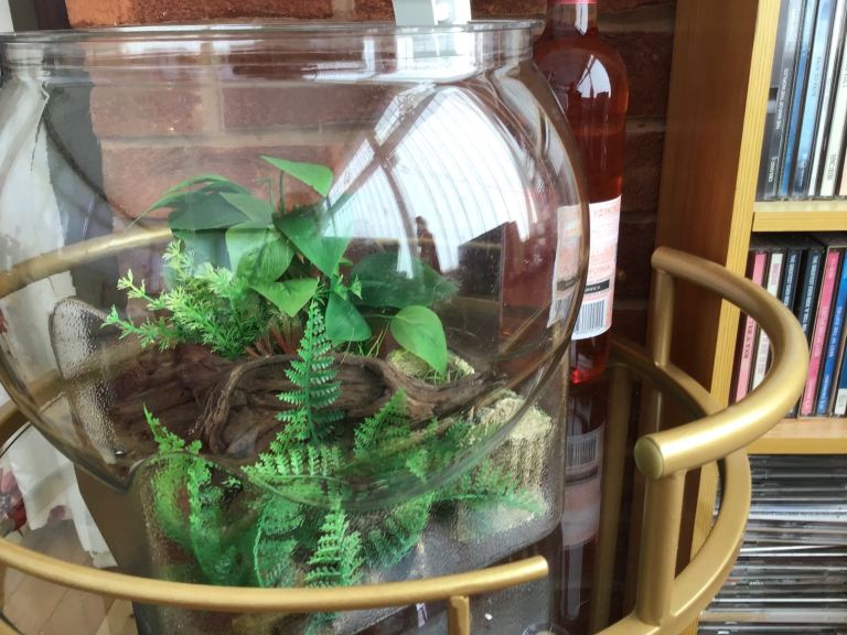 Two plastic fish bowls 