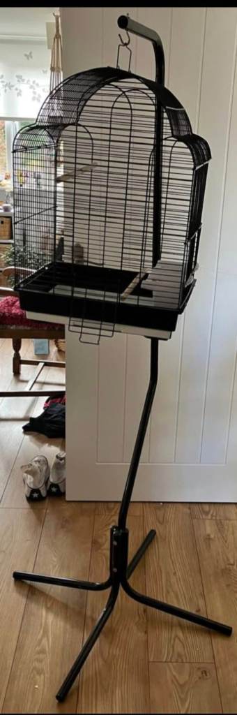 Budgie cage 