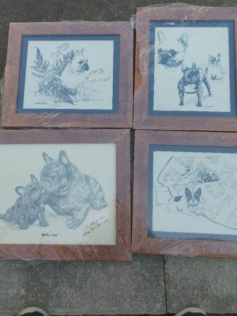 Set of 4 Framed French Bulldog Drawings – New