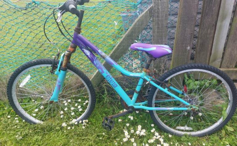 Girls Apollo Mountain Bike – Turquoise and Purple, Fair Condition