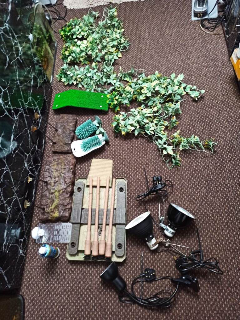 Turtles accessories bundle