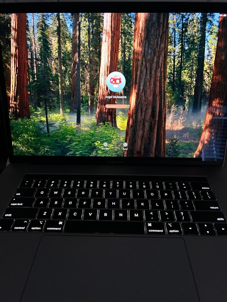 image for MacBook Pro 2018 512GB 16GB RAM touchbar
