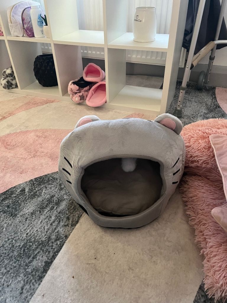 Cute Grey Cat Bed with Mouse Ears - Soft and Cosy Pet Cave