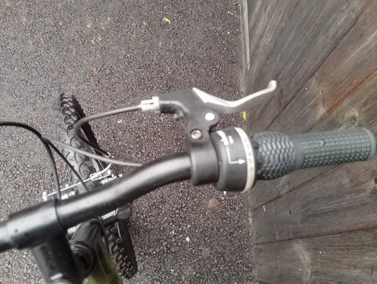 A fully reconditioned kids Raleigh mountain bike 20" wheels 