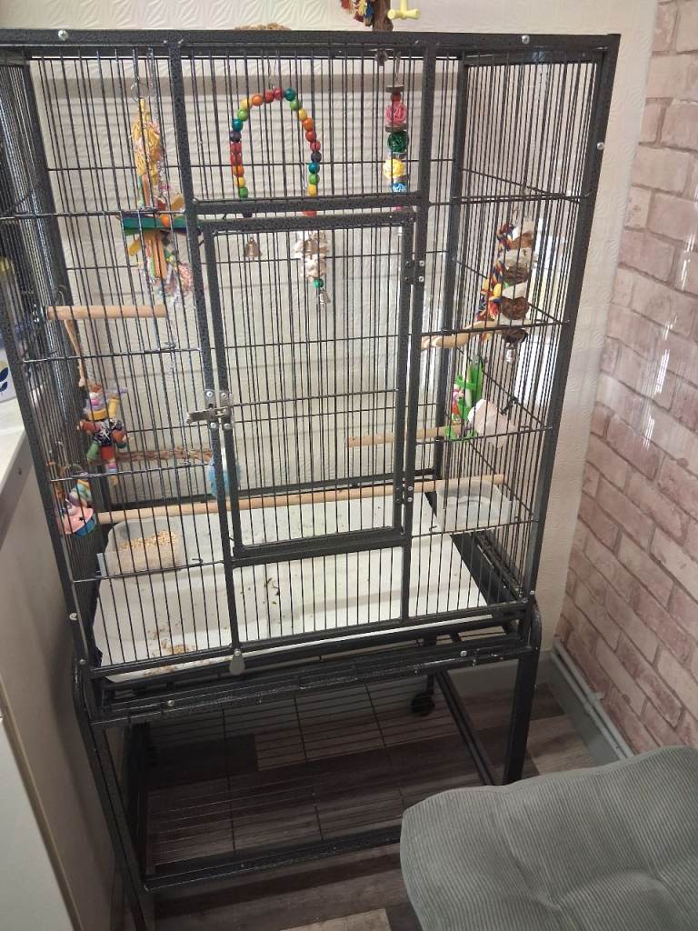 Large bird cage
