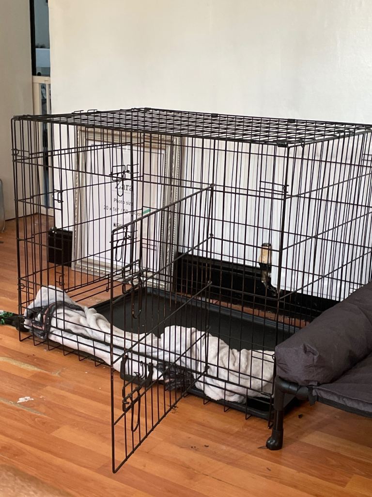 Large Dog Crate 