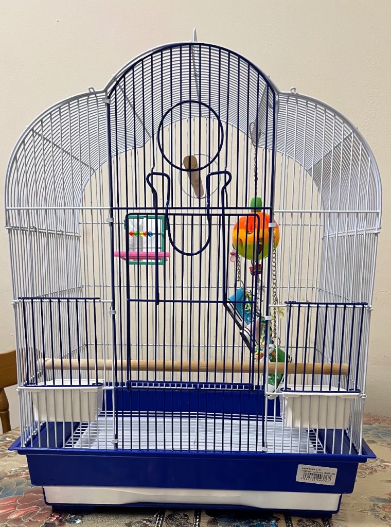 Bird Cage