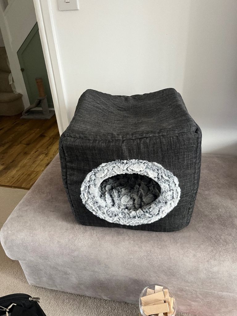Cat cube