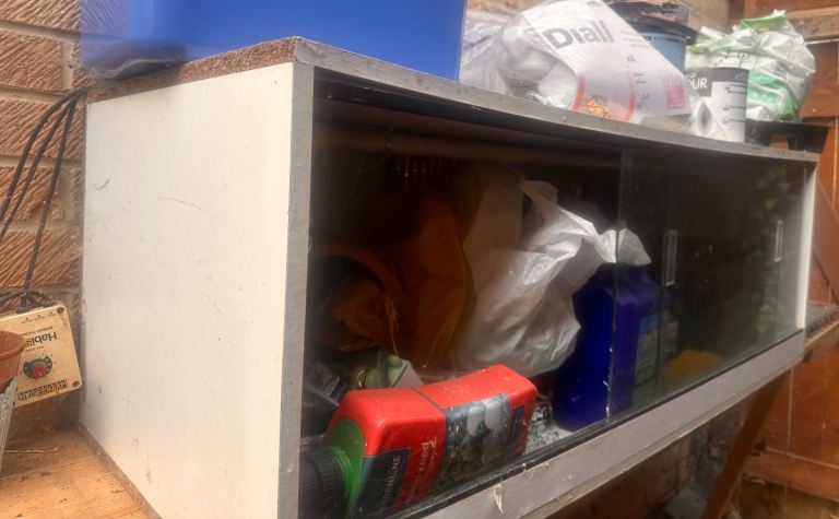 Large reptile or snake housing 