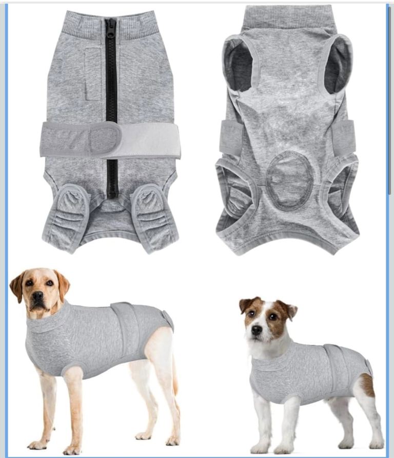 Dog recovery surgery suit