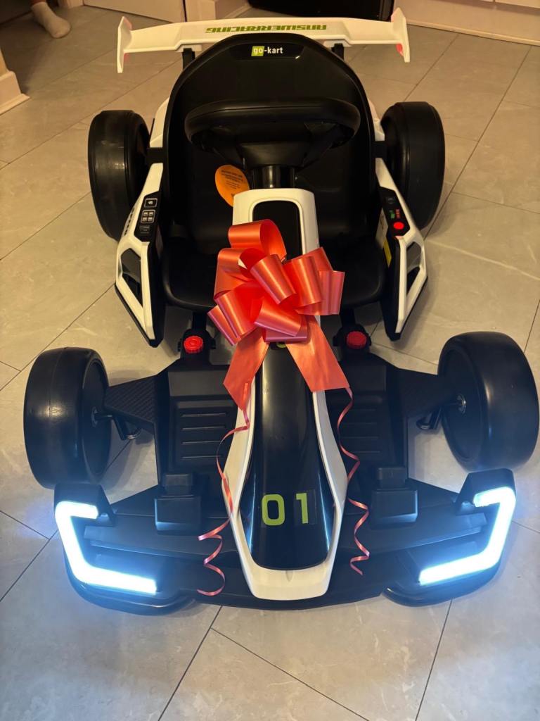 Electric go kart 