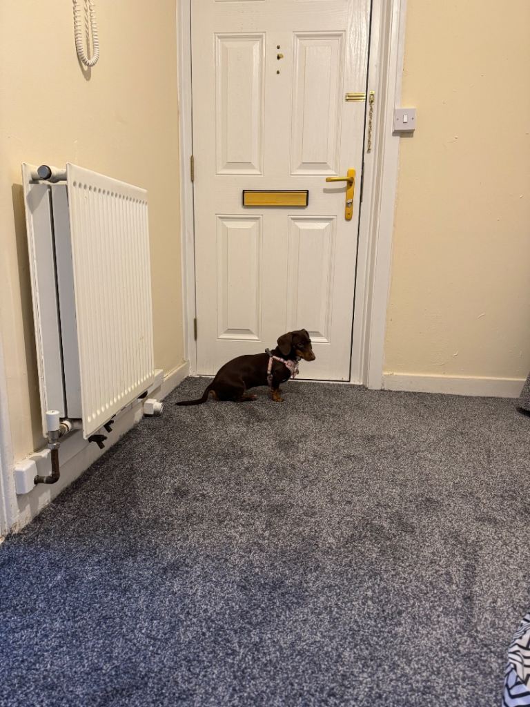 1 bed spacious ground floor flat with garden