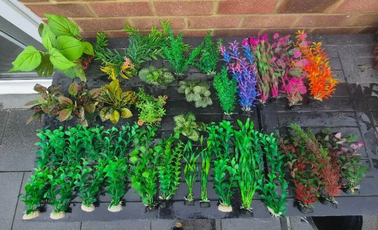 Used aquarium plastic plants 