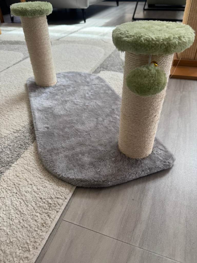 cat toys