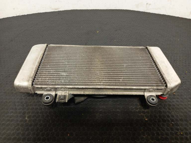 Kawasaki Ex 250 Radiator 2009 0.2l 390600054