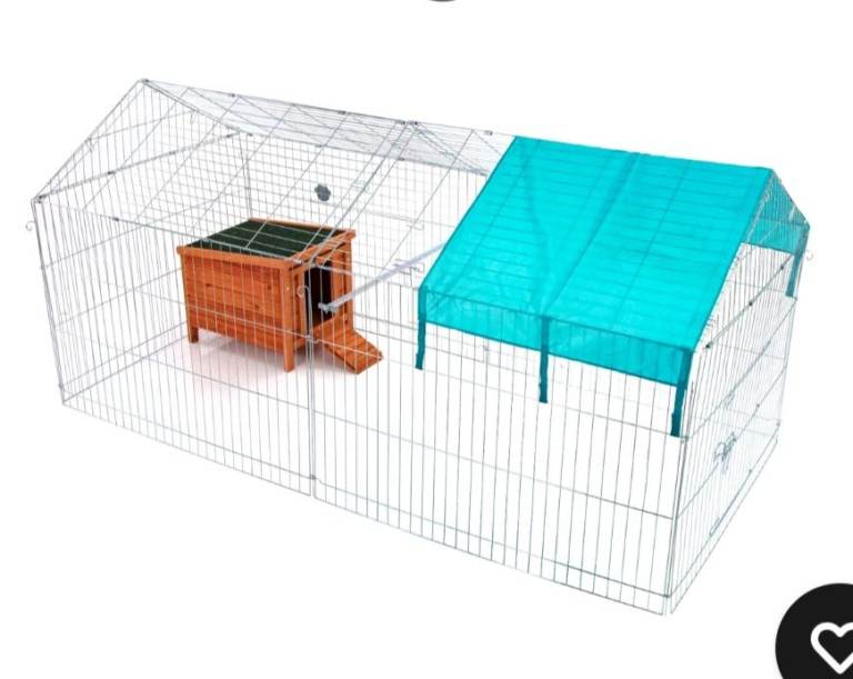 Rabbit run and small hutch