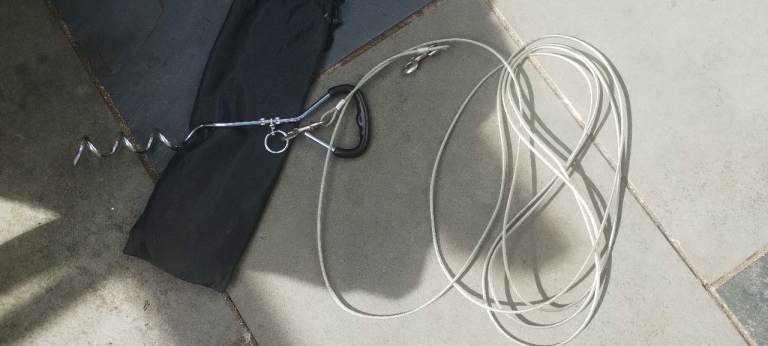 Dog lead with ground spike