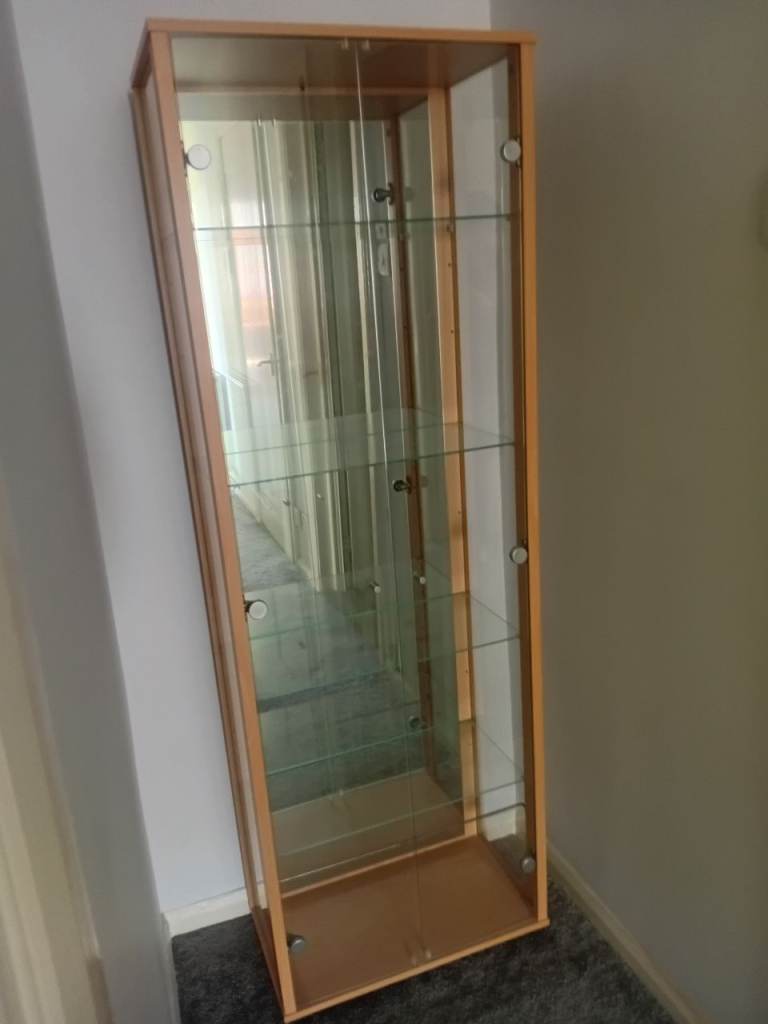 Tall Glass Display Cabinet with Wooden Frame