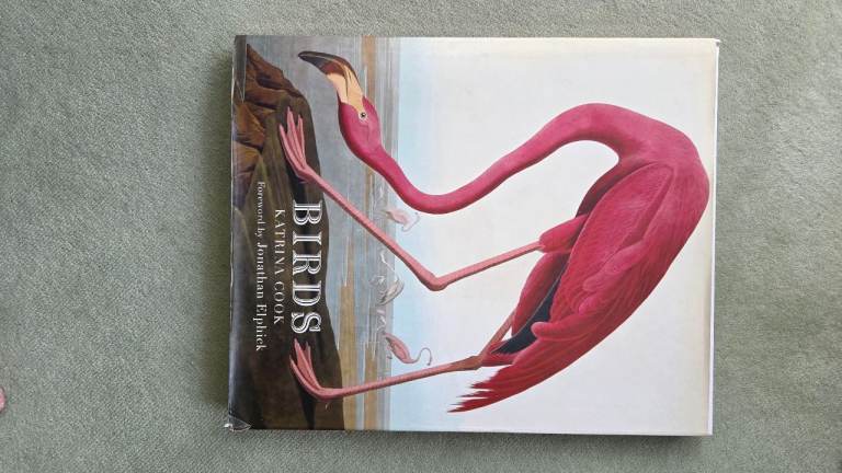 Birds by Katrina Cook