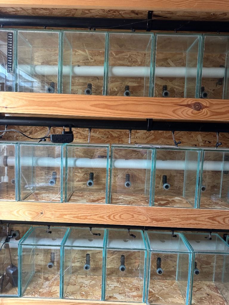 Large Multi-Tank Aquarium Rack System