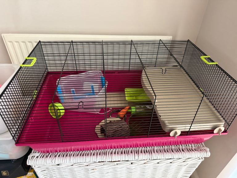 Hamster cage and accessories 