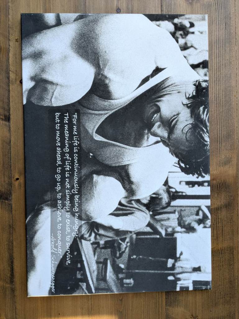 Arnold Schwarzenegger Canvas Print Picture Wall Art
