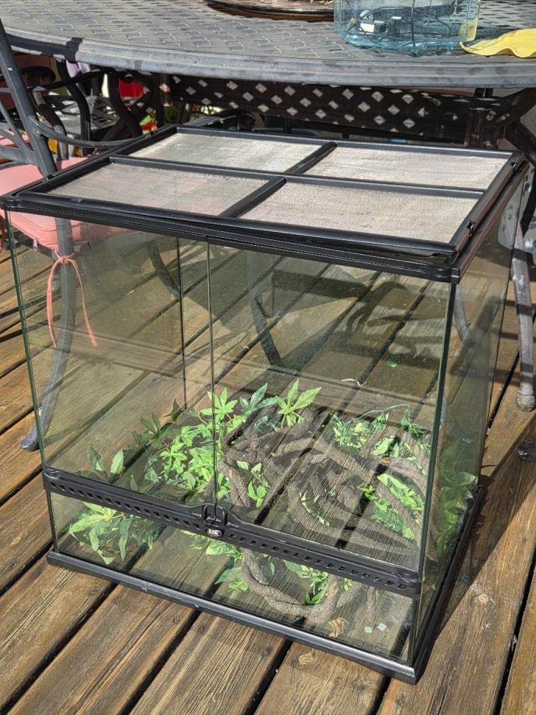 Pro Terrarium Medium Tank