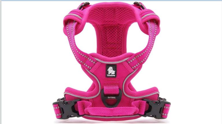 Truelove Dog Harness Medium size colour pink