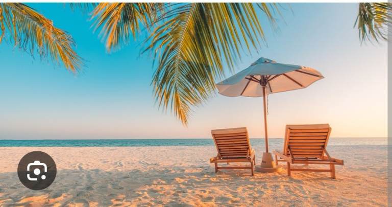Travel partner wanted
